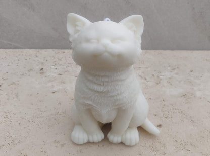 Chaton